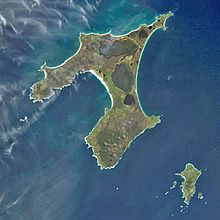 Chatham Island httpsuploadwikimediaorgwikipediacommonsthu