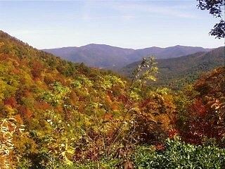 Chattahoochee Oconee National Forest - Alchetron, The Free Social ...