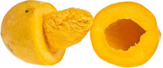 Chaunsa Rare seeds CHAUNSA Mango most exquisite variety of mango 1 fresh