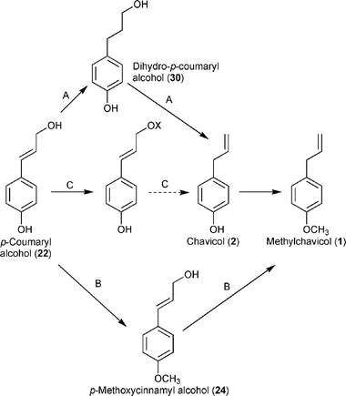 Chavicol Chavicol formation in sweet basil Ocimum basilicum cleavage of