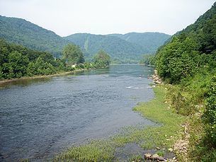 Cheat River httpsuploadwikimediaorgwikipediacommonsthu