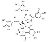 Chebulinic acid httpsuploadwikimediaorgwikipediacommonsthu