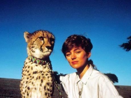 Cheetah (1989 film) Cheetah (1989 film)