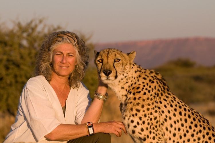 Cheetah Conservation Fund The Cheetah Conservation Fund Namibia Africa Enchanted Lands and
