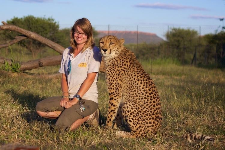Cheetah Conservation Fund Kate Vannelli Cheetah Conservation Fund Cheetah Conservation Fund