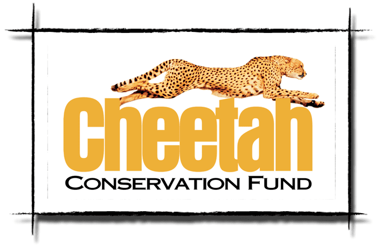 Cheetah Conservation Fund Unity College in Maine Internship Program Summer at the CCF