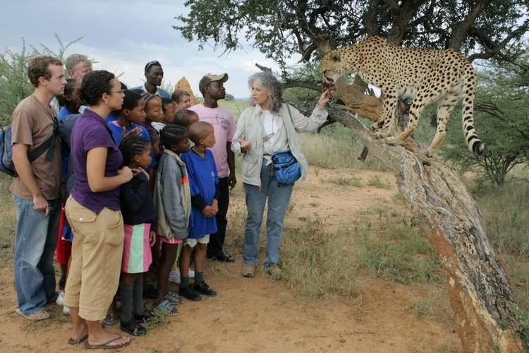 Cheetah Conservation Fund Cheetah Conservation Fund Namibia Reviews Pictures Videos Map