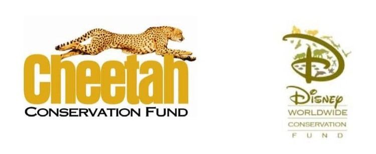 Cheetah Conservation Fund Gebhardt Nikanor of Cheetah Conservation Fund Named 2013 Disney