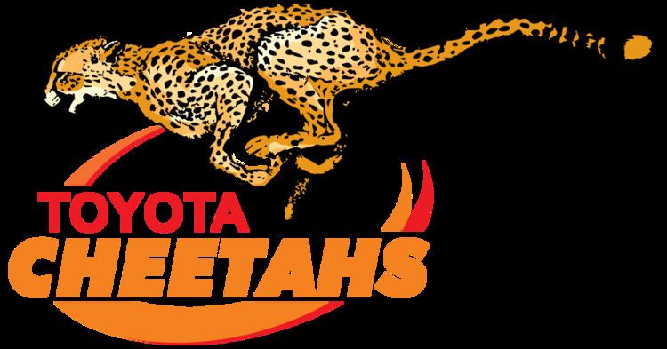 Cheetahs (rugby union) Cheetahs rugby union Wikipedia