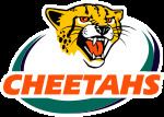 Cheetahs (rugby union) httpsuploadwikimediaorgwikipediadethumb2