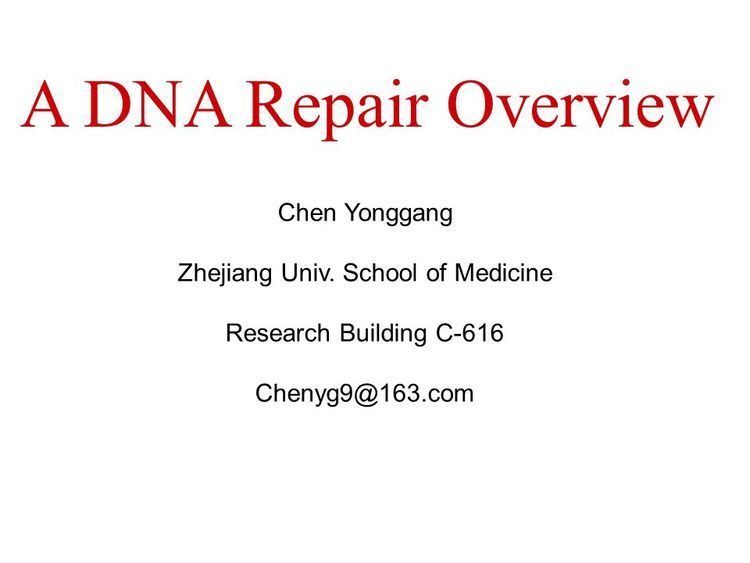 Chen Yonggang Chen Yonggang Zhejiang Univ School of Medicine Research Building C