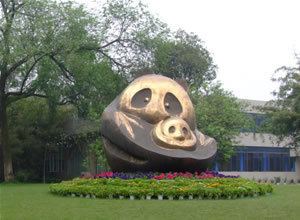 Chengdu Research Base of Giant Panda Breeding Chengdu giant panda Research Base of Giant Panda Breeding