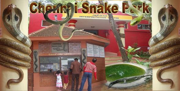 Chennai Snake Park Trust Chennai Snake Park Trust travel directory Chennai Snake Park Trust