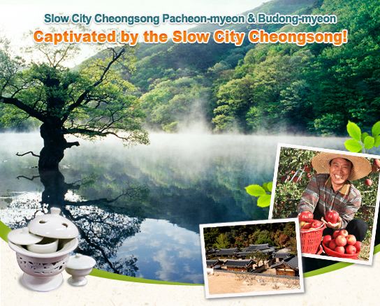 Cheongsong County tongvisitkoreaorkrenuSI17886661129jpg