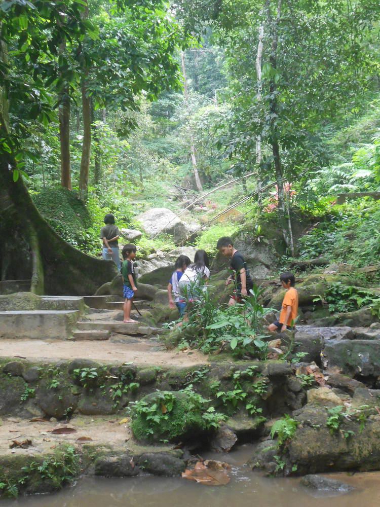 Cherok Tok Kun Roots Cherok Tok Kun Bukit Mertajam 21 June 2013