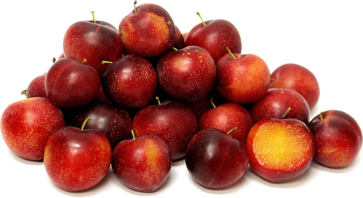 Cherry plum Cherry Plums Information Recipes and Facts