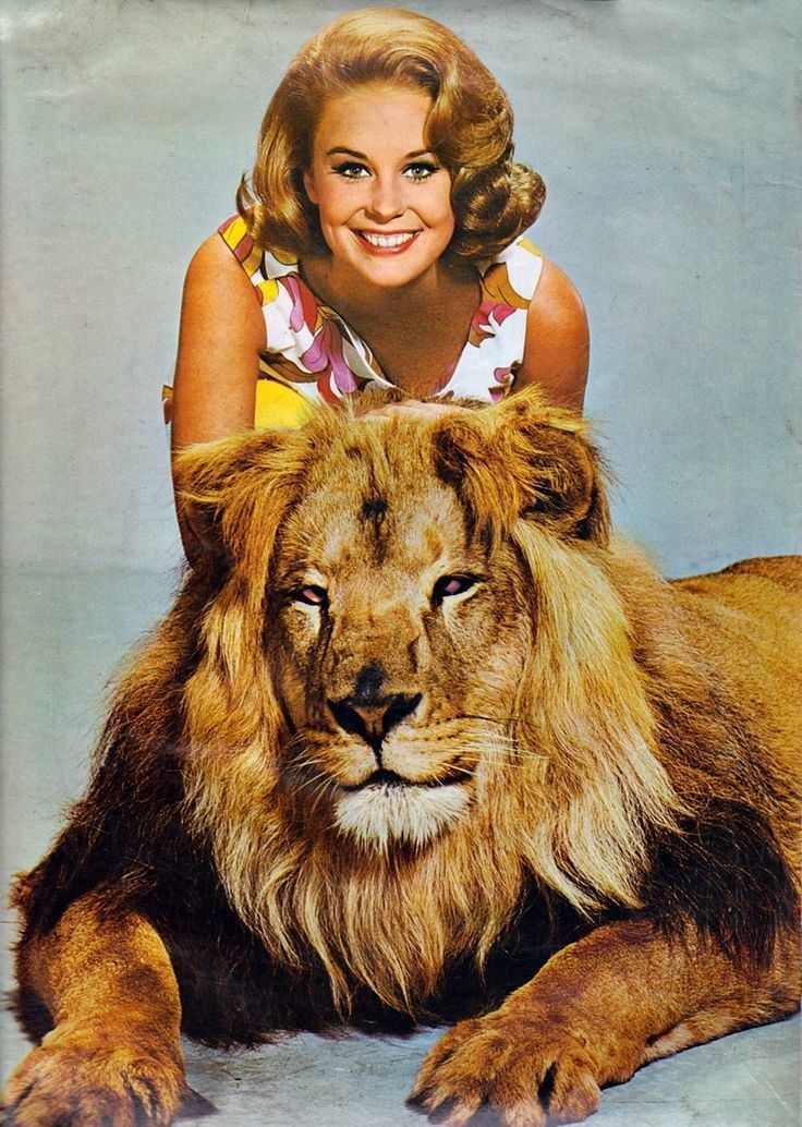 Cheryl Miller smiling beside a big lion, with wavy blonde hair, and wearing a floral sleeveless dress.
