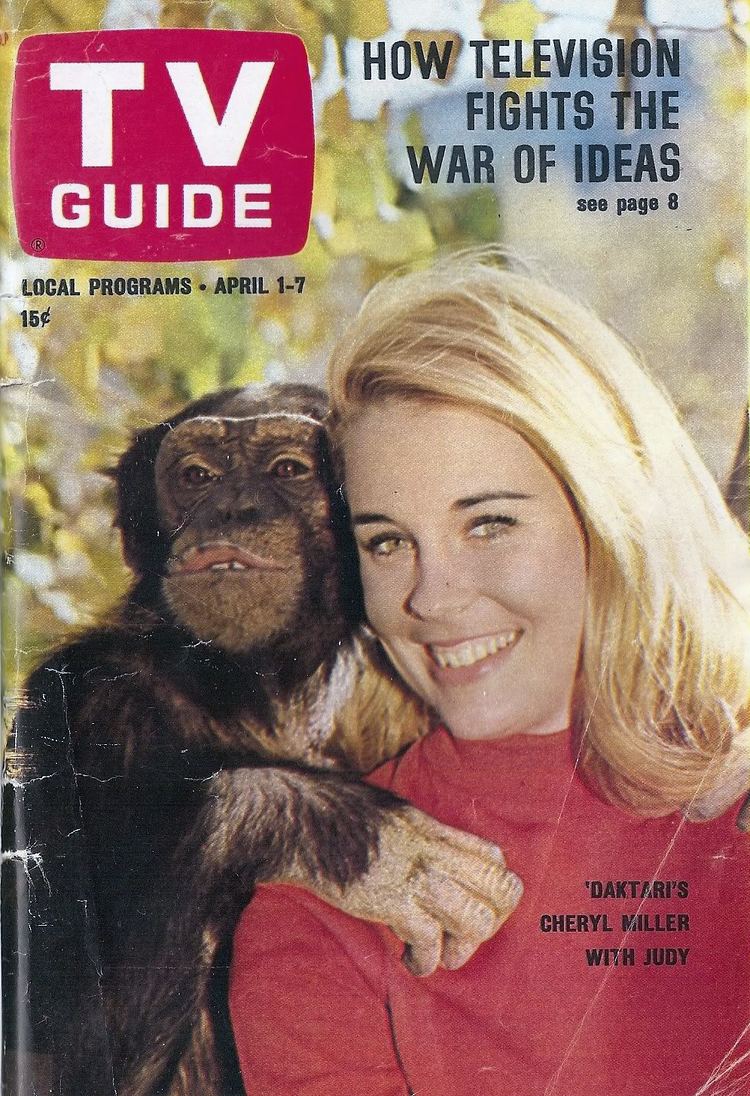 Poster of Daktari, an American family drama series featuring Cheryl Miller as Paula Tracy smiling and wearing a red shirt with Judy the Chimpanzee.