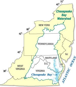 Chesapeake Bay Program