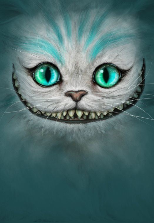 Cheshire Cat 1000 ideas about Cheshire Cat on Pinterest Alice madness returns