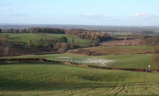 Cheshire Plain Flock of birds on the Cheshire Plain Espresso Addict Geograph