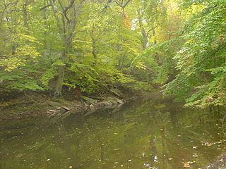 Chester Creek httpsuploadwikimediaorgwikipediacommonsthu