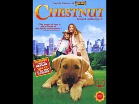 Chestnut: Hero of Central Park Chestnut Hero Of Central Park by Brahm Wenger Chestnuts Theme