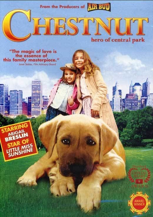 Chestnut: Hero of Central Park Chestnut Hero of Central Park Movie Posters From Movie Poster Shop