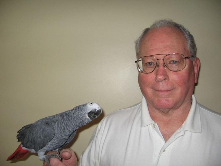 Chet Fuhrman Chet Fuhrman and Casey his African Grey The Real Macaw Parrot Club