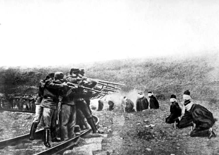 Chetniks in occupied Serbia (1916–18)