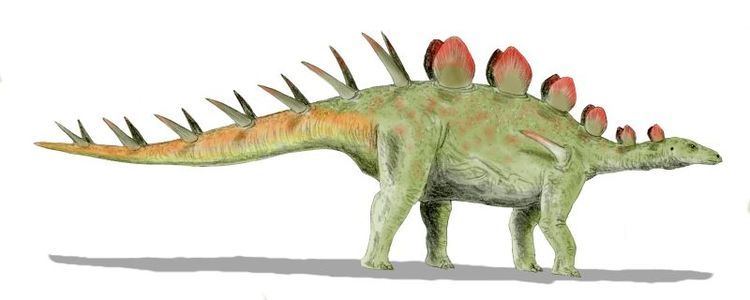 Chialingosaurus Chialingosaurus Wikipedia