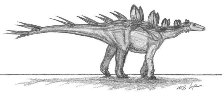 Chialingosaurus Chialingosaurus kuani by EmperorDinobot on DeviantArt