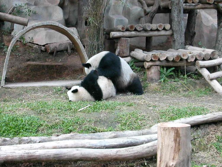 Chiang Mai Zoo