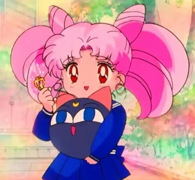 Chibiusa Why Does ChibiUsa Have Pink Hair Tuxedo Unmasked