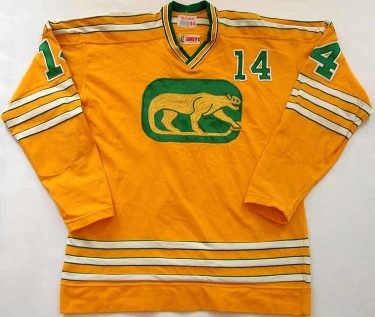 Chicago Cougars 197374 Ralph Backstrom WHA Chicago Cougars Unused Jersey
