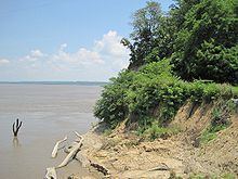 Chickasaw Bluff httpsuploadwikimediaorgwikipediacommonsthu