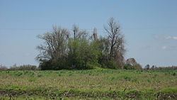 Chickasawba Mound httpsuploadwikimediaorgwikipediacommonsthu