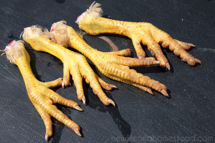 Chicken feet How To Peel Chicken Feet and Prepare Them To Cook New Life On A