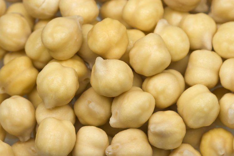 Chickpea Chickpeas Tapas Ideas amp Recipes from Spanish Food World