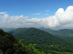Chicoral, Valle del Cauca httpsuploadwikimediaorgwikipediacommonsthu