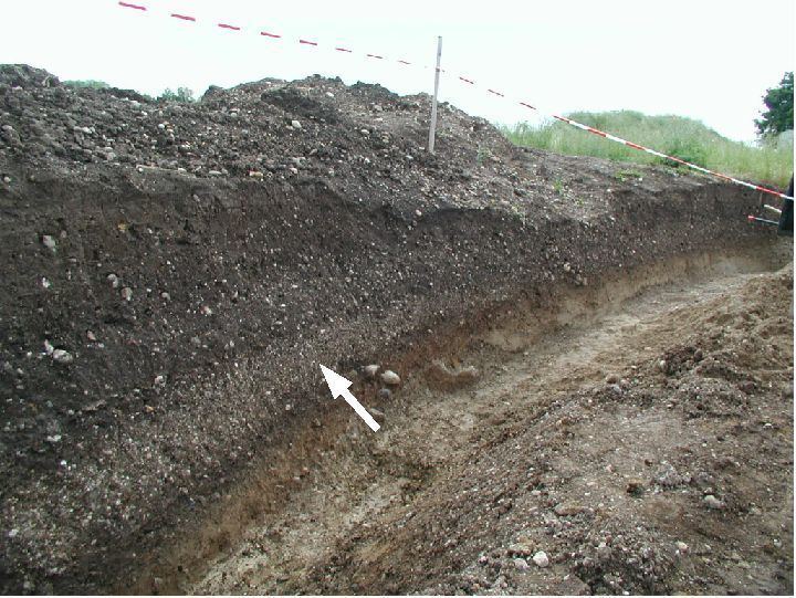 Chiemgau impact hypothesis wwwchiemgauimpactcomimagesintro1020stottham