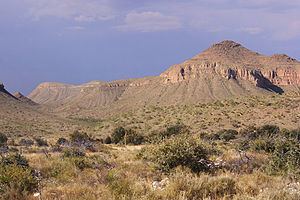 Chihuahuan Desert httpsuploadwikimediaorgwikipediacommonsthu