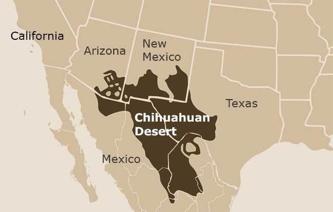 Chihuahuan Desert Chihuahuan Desert DesertUSA