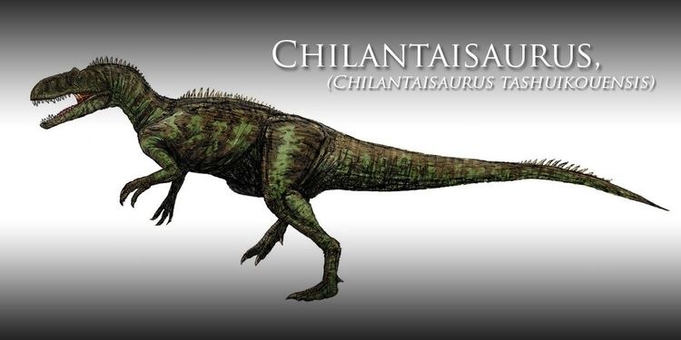 Chilantaisaurus Chilantaisaurus one of the largest theropods DinoAnimalscom