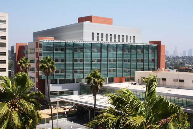 Children S Hospital Los Angeles Alchetron The Free Social