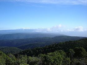 Chilean Coast Range httpsuploadwikimediaorgwikipediacommonsthu