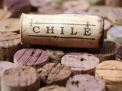 Chilean wine Chilean Wine Tasting Vino Latte