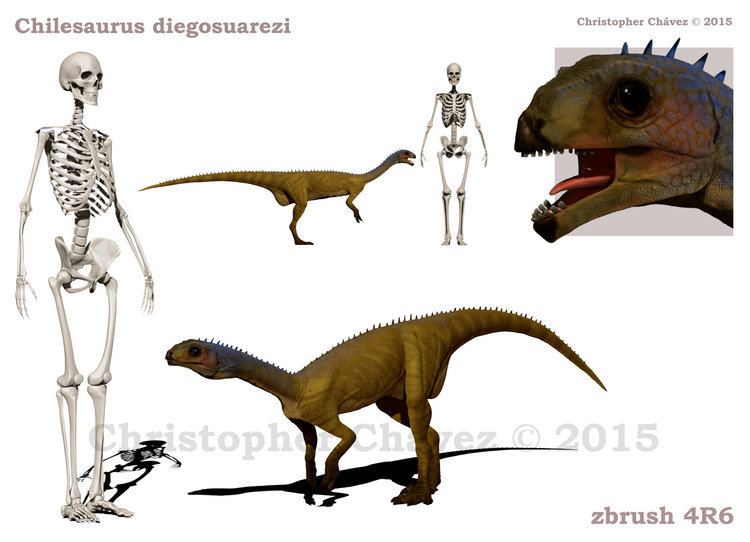 Chilesaurus chilesaurus DeviantArt