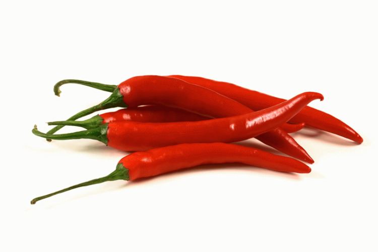 Chili pepper How Do Chili Peppers Make Your Mouth Feel Like It39s On Fire A