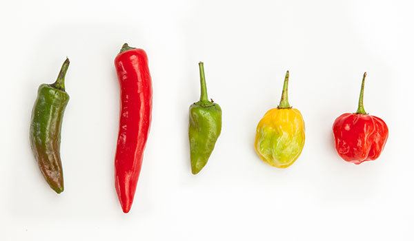 Chili pepper How Chili Peppers Work Stuff You Should Know